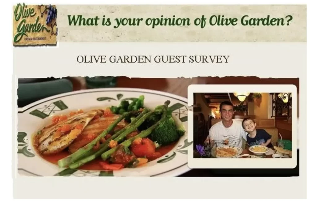 Ogtogosurvey